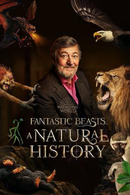 Fantastic Beasts: A Natural History (2022) บรรยายไทย